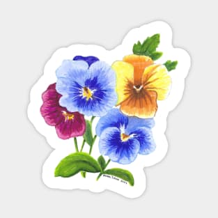 Pansy Flowers Sticker